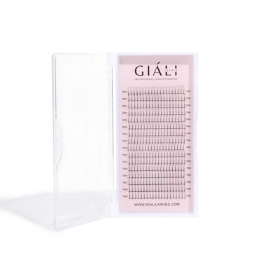 Giáli Lashes 3D Long Stem Premade Volume Fans Lash Tray-Giali Lashes